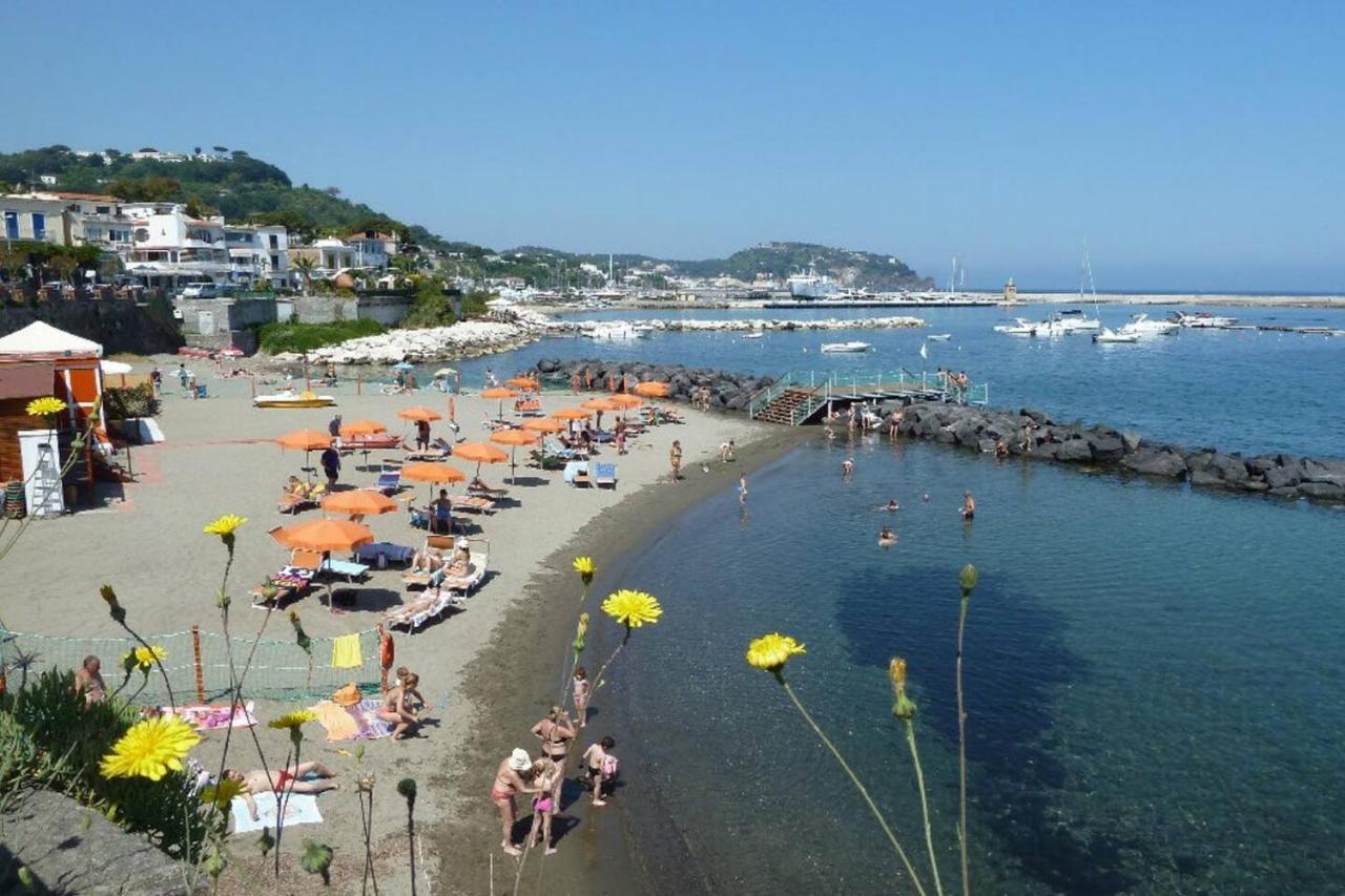 La Terrazza Dell^Ippocampo #Seaview Apartment Ischia Eksteriør billede
