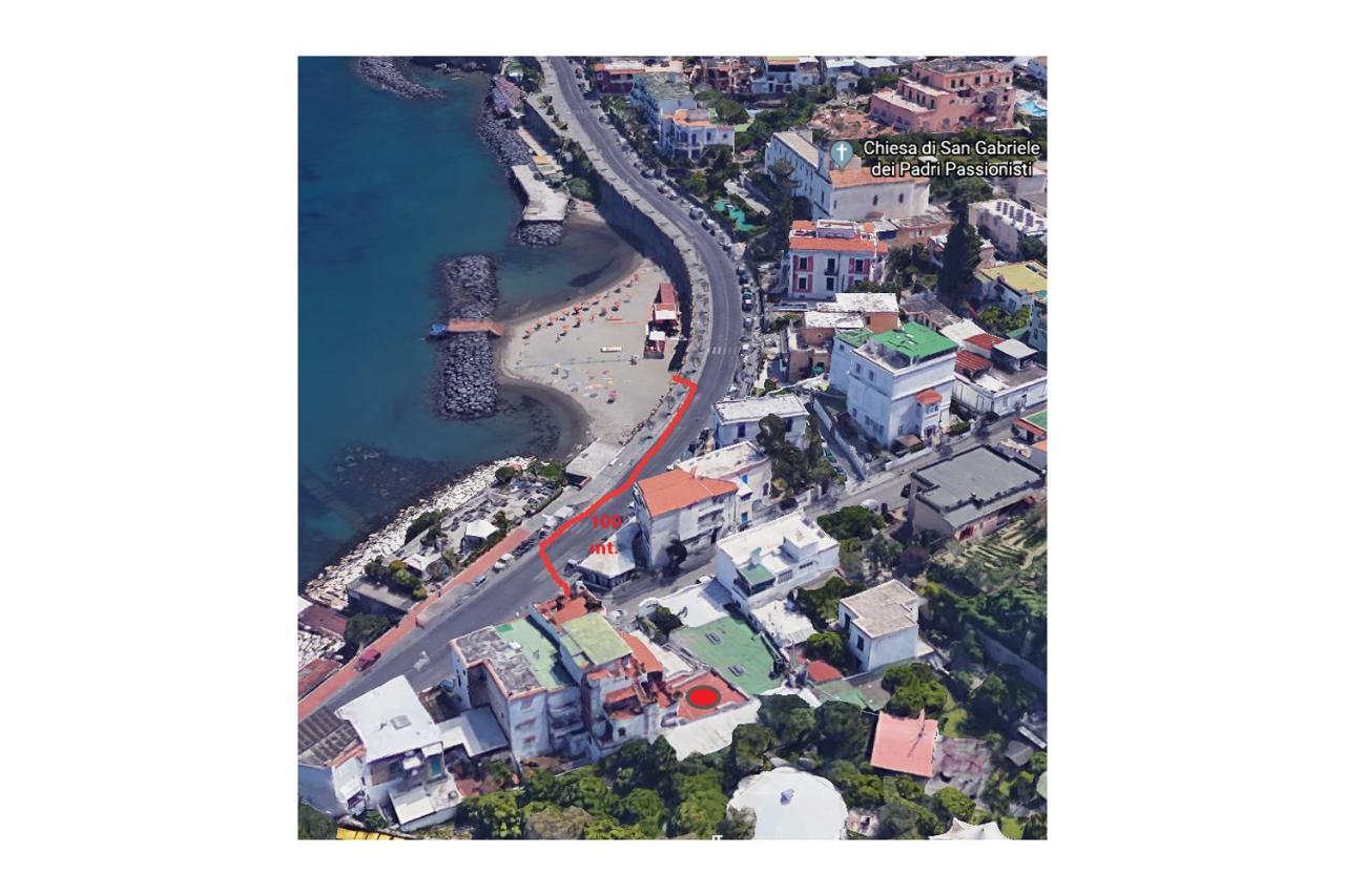 La Terrazza Dell^Ippocampo #Seaview Apartment Ischia Eksteriør billede
