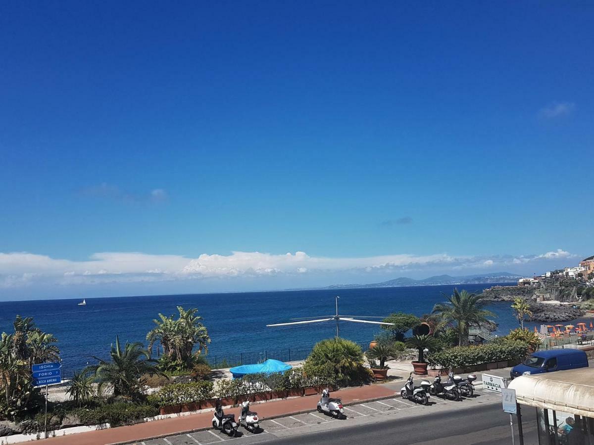 La Terrazza Dell^Ippocampo #Seaview Apartment Ischia Eksteriør billede