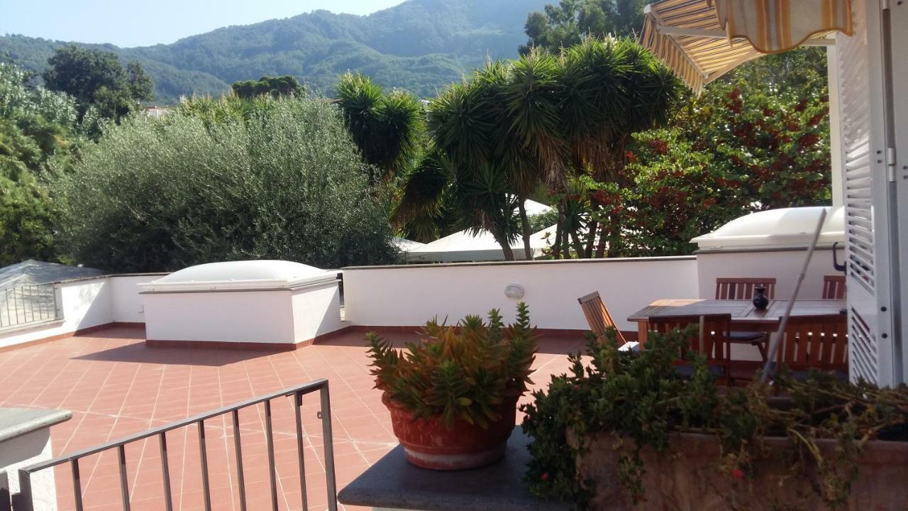 La Terrazza Dell^Ippocampo #Seaview Apartment Ischia Eksteriør billede