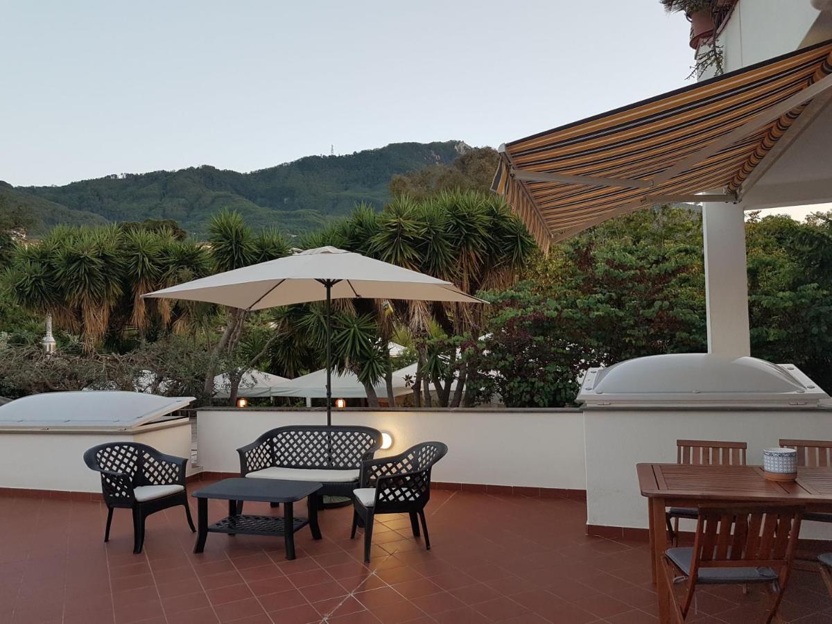 La Terrazza Dell^Ippocampo #Seaview Apartment Ischia Eksteriør billede